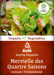 Lettuce seeds, organic