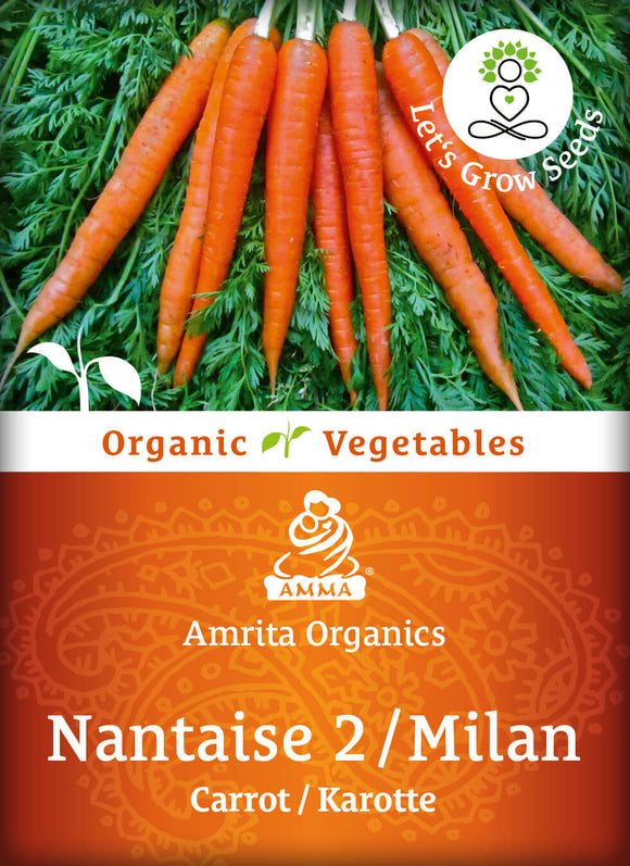 Carrot seeds, organic