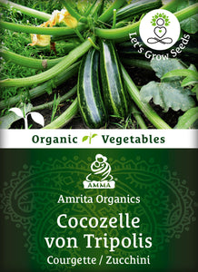 Courgette seeds, organic